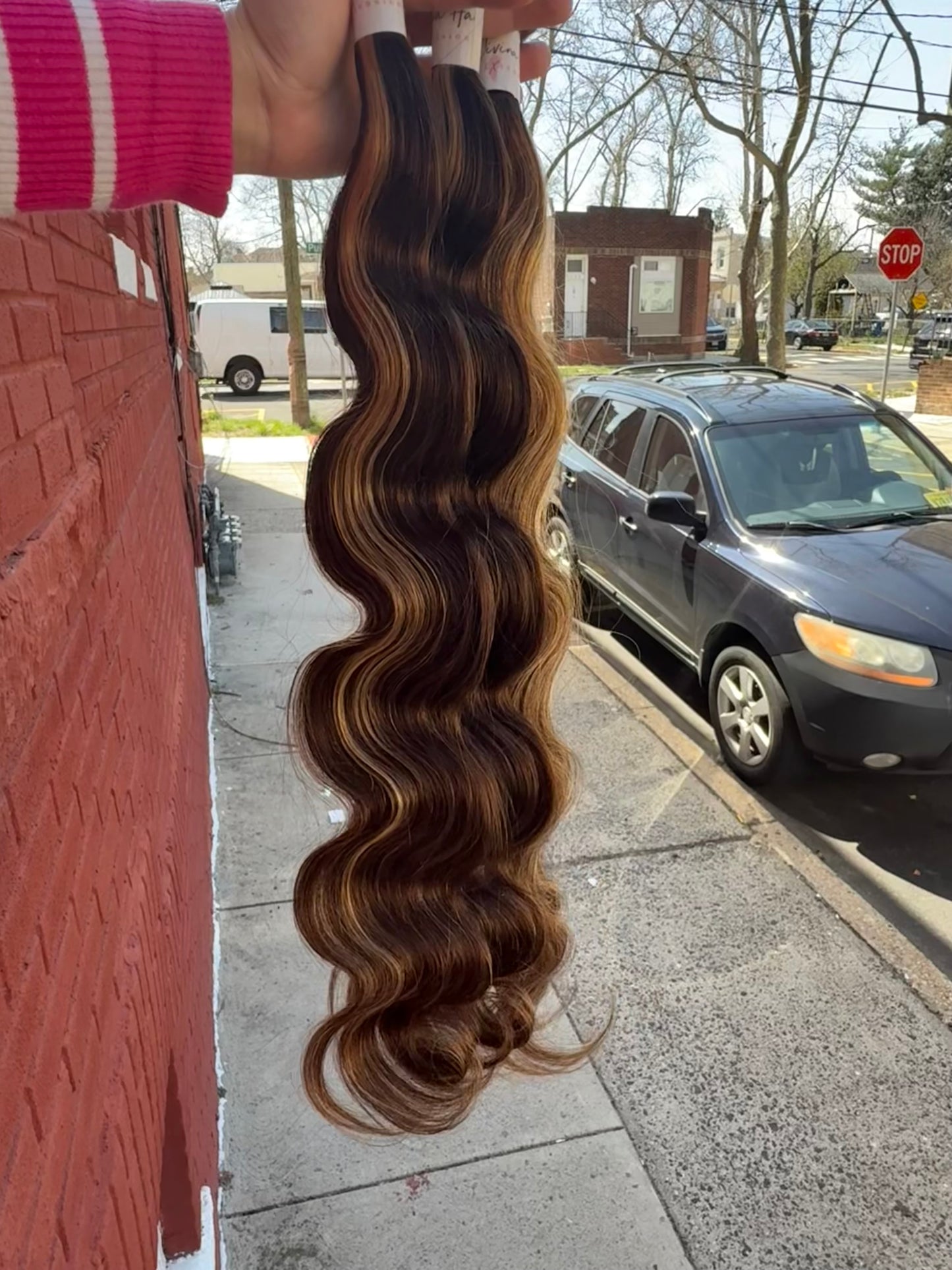 Highlights body wave bundles