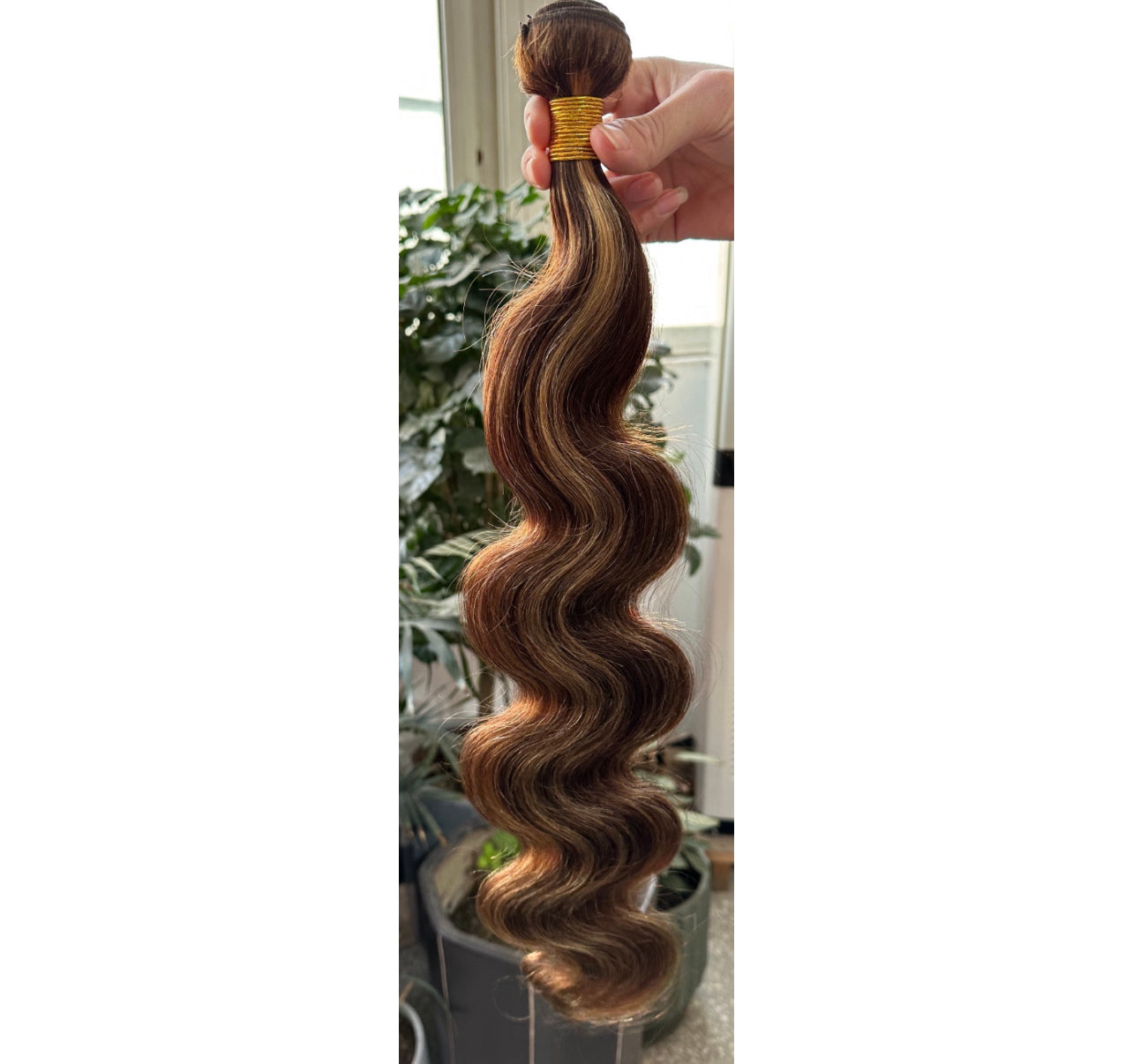 Highlights body wave